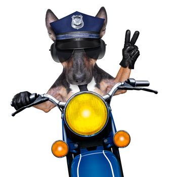 POlICE DOG ON DUTY driving a motorbike with victory peace fingers