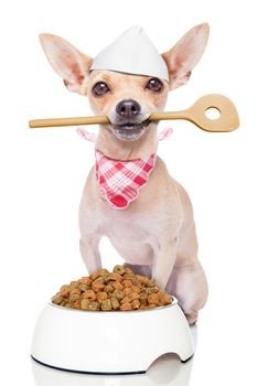 chef cook chihuahua dog with a food bowl holding a cooking spoon in mouth , isolated on white background