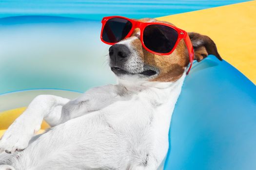 Dog lying on air mattress by the swimming pool sun tanning with sunglasses relaxing and resting