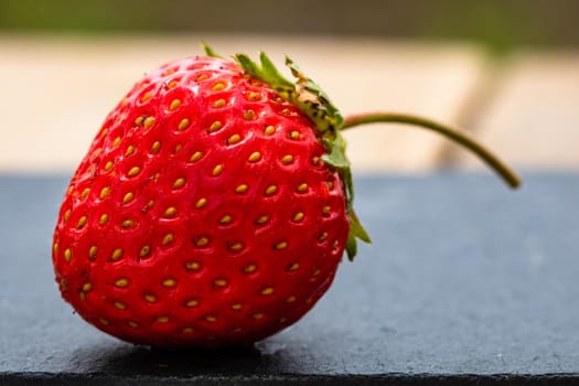 Close up of fresh strawberry showing seeds achenes. Details of a fresh ripe red strawberry.