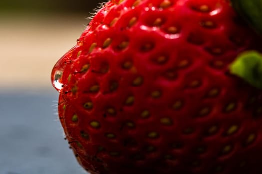 Close up of fresh strawberry showing seeds achenes. Water drop on fresh ripe red strawberry.