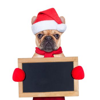 Santa claus christmas dog wearing a hat holding a blackboard or placard , isolated on white background