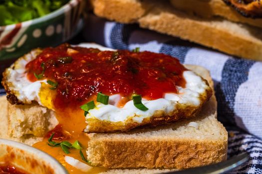 Close up of fried egg with tomato sauce and garlic on toast bread isolated.