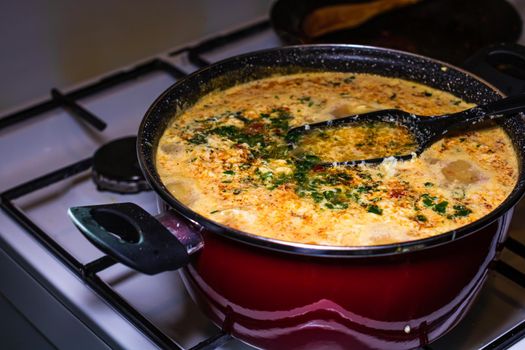 Preparation of soup with chicken and vegetables. Close up of boiling soup, selective focus.