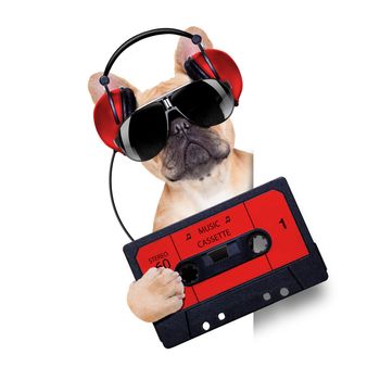 dj bulldog dog with headphones listening to music holding a cassette, besides a white banner or placard , isolated on white background