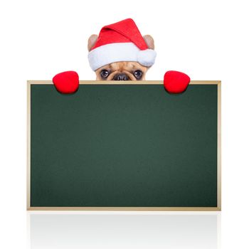 santa claus christmas dog  hiding behind an empty blank big  green blackboard, isolated on white backbround