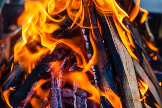 Burning wood chips to form coal. Barbecue preparation, fire before cooking.