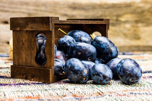 Ripe blue plums in a wooden crate in a rustic composition.