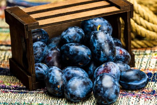 Ripe blue plums in a wooden crate in a rustic composition.