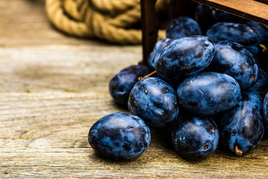 Ripe blue plums in a wooden crate in a rustic composition.