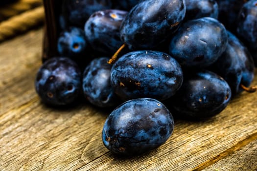 Ripe blue plums in a wooden crate in a rustic composition.