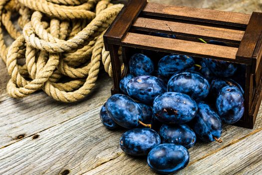 Ripe blue plums in a wooden crate in a rustic composition.