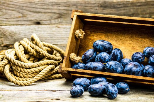 Ripe blue plums in a wooden crate in a rustic composition.