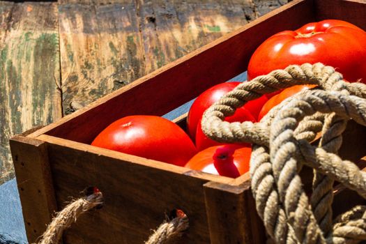 Wooden crate with fresh ripe tomatoes isolated in a rustic composition,