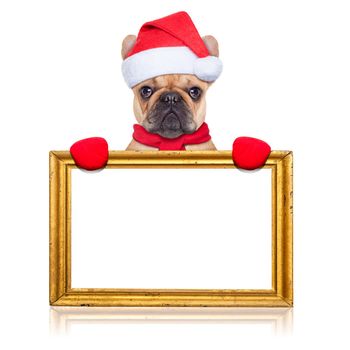 santa claus christmas dog behind and holding an empty blank golden retro frame, isolated on white background