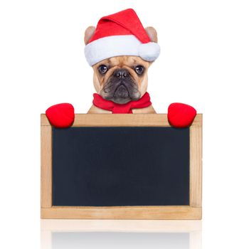 santa claus christmas dog behind and holding an empty blank  blackboard, isolated on white background