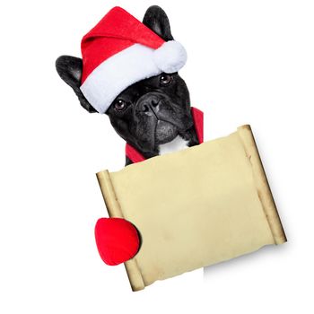 french bulldog dog dressed as santa claus behind a white empty banner or placard holding a papyrus or blank old paper