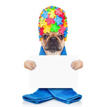 french bulldog dog ready to have a bath or a shower wearing a bathing cap and towel, holding a white placard or banner isolated on white background
