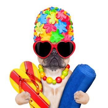 french bulldog ready for summer vacation holidays, with swimming cap, flip flops and towel , isolated on white background