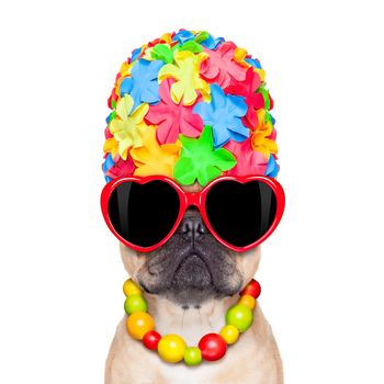 fawn french bulldog dog ready for summer vacation or holidays, wearing sunglasses, isolated on white background