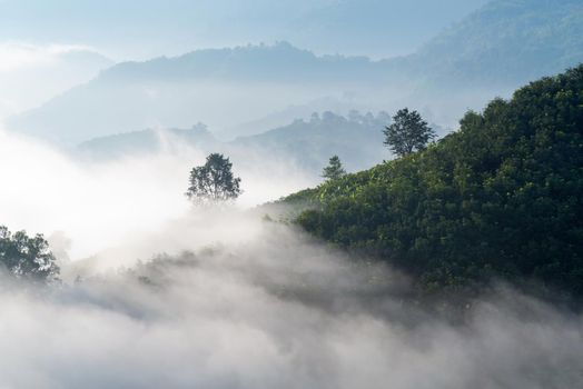 View of amazing mist moving over the nature mountains during sunrise at mountains area in Thailand.