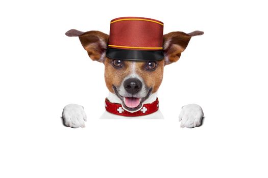 jack russell bellboy dog behind a blank and empty banner or placard at hotel, where pets are welcome and allowed,isolated on white background
