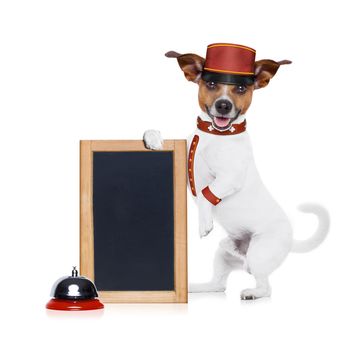 jack russell bellboy dog holding a blank and empty blackboard at hotel, where pets are welcome and allowed,isolated on white background