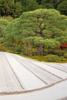 Japanese zen garden meditation stone in lines sand for relaxation balance and harmony spirituality or wellness in Kyoto,Japan