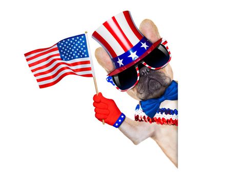 french bulldog waving a flag of usa on independence day on 4th  of july , isolated on white background, beside white blank banner
