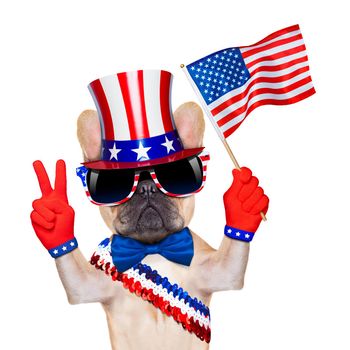 french bulldog waving a flag of usa on independence day on 4th  of july , isolated on white background