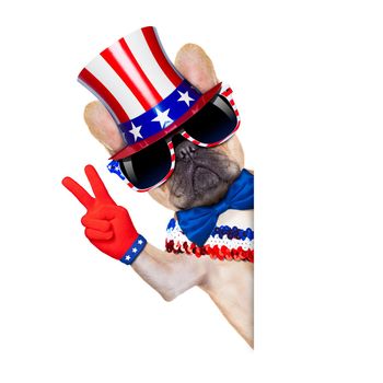 french bulldog with peace or victory fingers on independence day on 4th  of july , isolated on white background, beside white blank banner