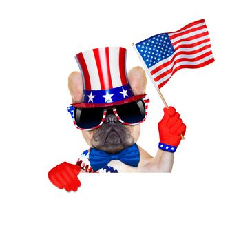 french bulldog  waving a flag of usa on independence day on 4th  of july , isolated on white background,  behind a white and blank banner placard