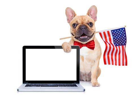 french bulldog  dog waving a flag of usa on independence day on 4th  of july , isolated on white background, behind a blank empty computer pc screen display