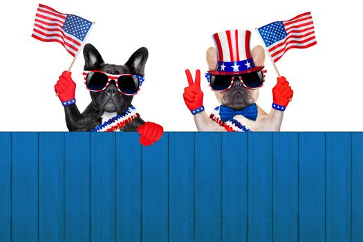 french bulldog row of dogs waving a flag of usa on independence day on 4th  of july , isolated on white background, behind a blank empty wall as banner or placard