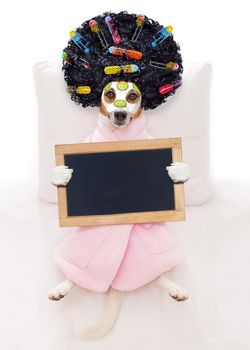 jack russell dog relaxing  and lying, in   spa wellness center ,getting a facial treatment with  moisturizing cream mask and cucumber holding a blank empty blackboard or placard