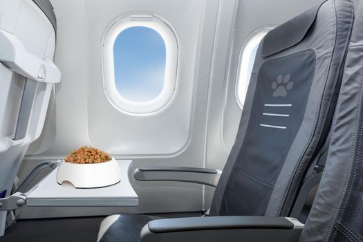 pet bowl full of food inside an airplane  window seat  where pets are welcome on board