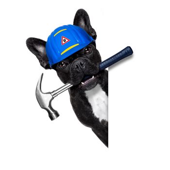 handyman dog worker with helmet  behind blank white banner , hammer tool in mouth ,ready to repair, fix everything at home, isolated on white background