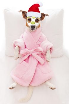 jack russell dog relaxing  and lying, in   spa wellness center ,getting a facial treatment with  moisturizing cream mask and cucumber on christmas holidays