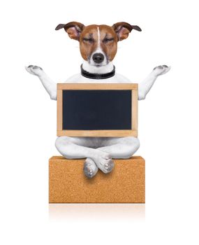 yoga dog posing in a relaxing pose with both arms open and closed eyes,while holding a blank empty placard or blackboard,  isolated on white background