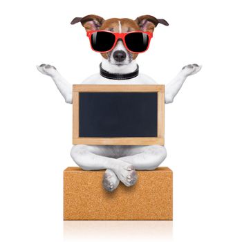yoga dog posing in a relaxing pose with both arms open and closed eyes,while holding a blank empty placard or blackboard,  isolated on white background