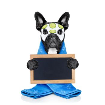 french bulldog dog relaxing  with beauty mask in   spa wellness center ,getting a facial treatment with  moisturizing cream mask and cucumber ,behind banner or placard, isolated on white background