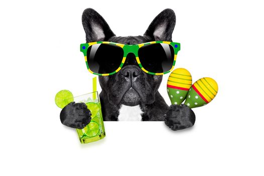 brazil  caipirinha cocktail french bulldog dog enjoying summer vacation holidays, behind  blank empty blackboard or placard, isolated on white background