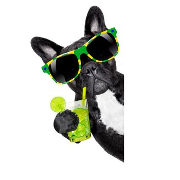 brazil  caipirinha cocktail french bulldog dog enjoying summer vacation holidays, beside blank empty banner or placard, isolated on white background