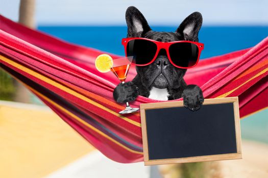 french bulldog dog relaxing on a fancy red  hammock  with sunglasses and martini cocktail drink, on summer vacation holidays at the beach