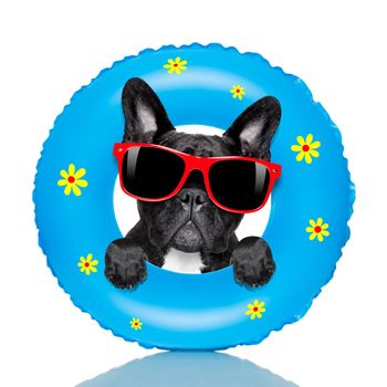 french bulldog dog relaxing on air mattress, with sunglasses  on summer vacation holidays at the beach isolated on white background