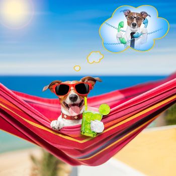 jack russell dog relaxing on a fancy red  hammock  with blank banner, placard or blackboard,  on summer vacation holidays at the beach , thinking of work