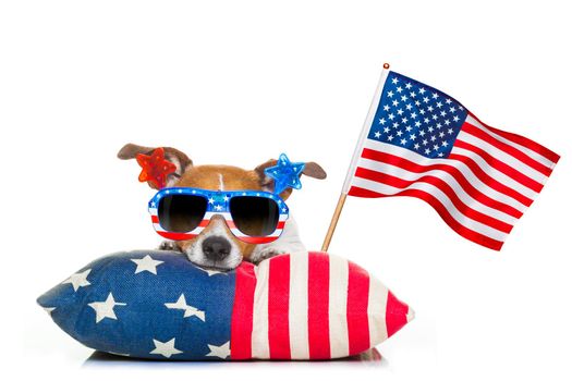 jack russell dog celebrating 4th of july independence day holidays with american flag and sunglasses, isolated on white background