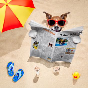 jack russell dog  buried in the sand at the beach on summer vacation holidays ,  wearing red sunglasses, reading a newspaper or magazine