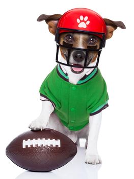 sporty rugby dog with a big sport ball , isolated on white background wearing american football helmet