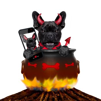 french bulldog  halloween devil dog burning inside a boiler on a bonfire like a witch, isolated on white background, taking a selfie with smartphone or tablet